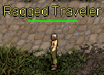 Ragged Traveler