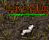 Cave Slug
