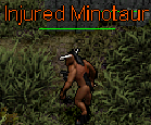Injured Minotaur