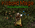 Kobold Mage