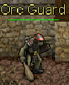 Orc Guard