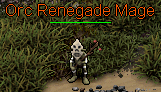 Orc Renegade Mage