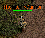 Skeleton Warrior