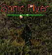 Sonic Flyer