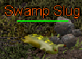 Swamp Slug