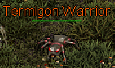 Termigon Warrior