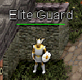 Elite Guard