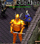 Town Guardian