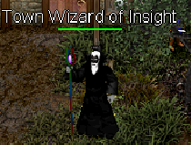 Town Wizard of Insight