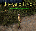 Howard Kaps