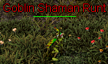 Goblin Shaman Runt