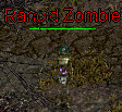 Rancid Zombie