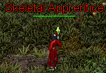 Skeltal Apprentice