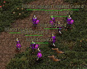 Island Guard on the move