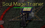 Soul Mage Trainer