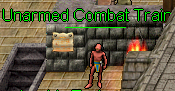 Unarmed Combat Trainer